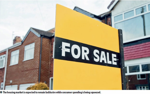 The housing market is expected to remain lacklustre while consumer spending is being squeezed