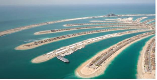The palm