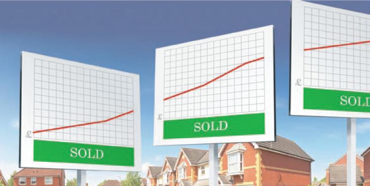 sold boards