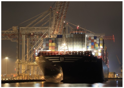 MSC Maya