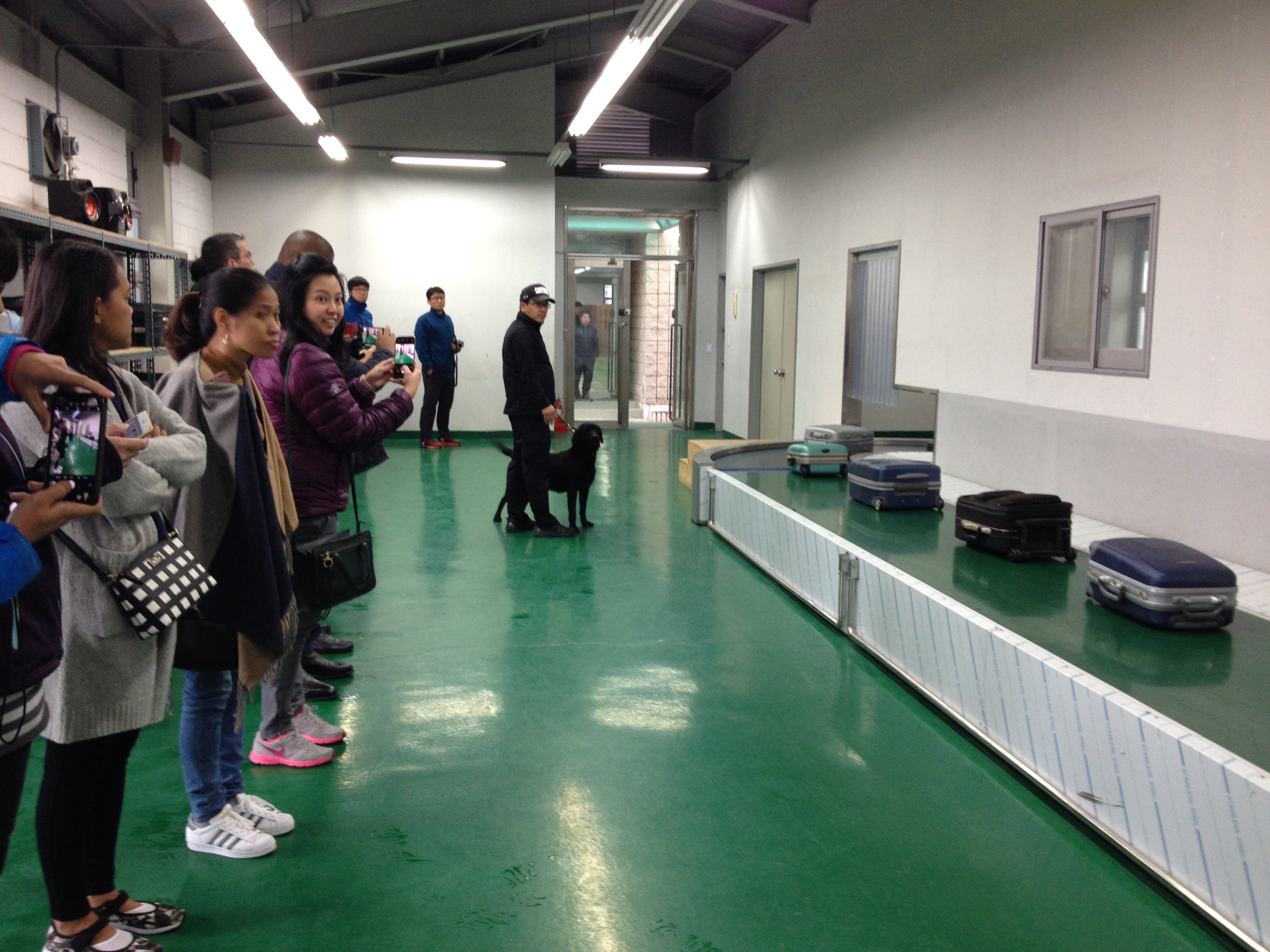 Detector dog on duty at Seoul Airport