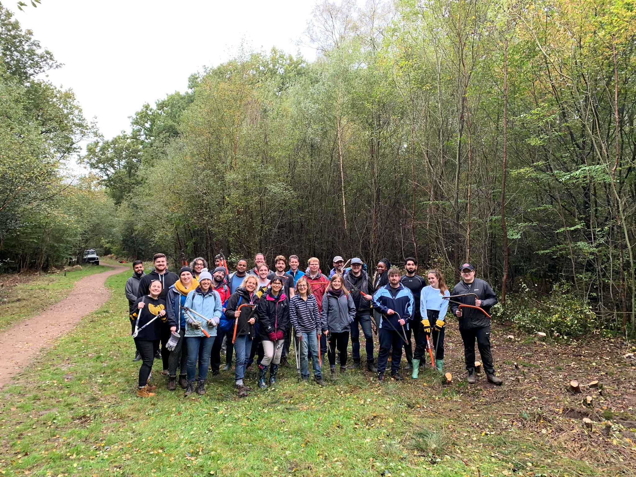 The reallymoving team helps maintain local woodland