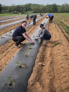 Josh Rose, Senior VP Global Sales and his wife planting at the JK Community Farm