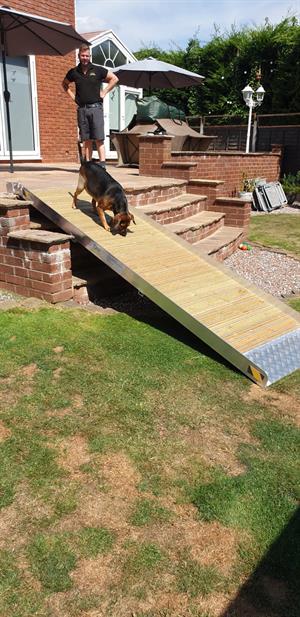 The specially designed ramp made for a disabled dog in Dudley