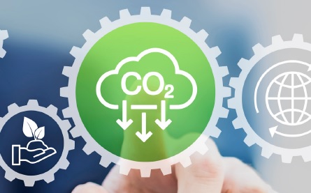 Common sense sustainability 