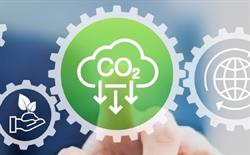 Common sense sustainability  Common sense sustainability