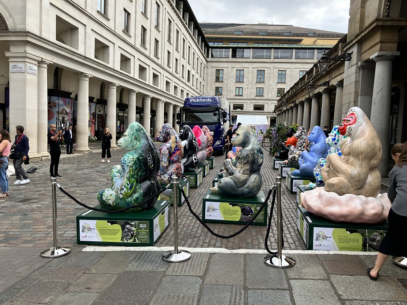 Signature picture Gorilla Trail