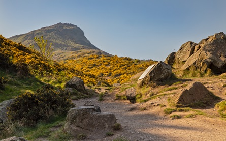 Arthur's Seat - 445x277