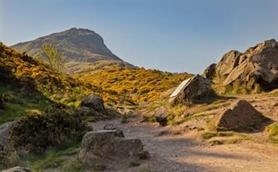 Arthur's Seat - 445x277 Arthur's Seat - 445x277