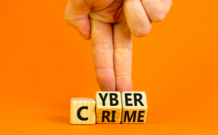Cybercrime 445x277